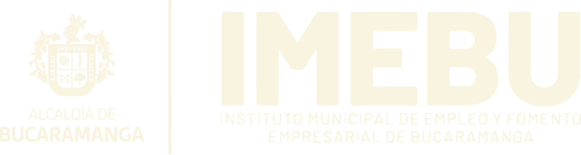 IMEBU